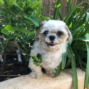 Meet your Posher, Trinity